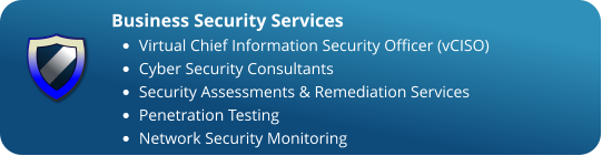 Business Security Services •	Virtual Chief Information Security Officer (vCISO) •	Cyber Security Consultants •	Security Assessments & Remediation Services •	Penetration Testing •	Network Security Monitoring